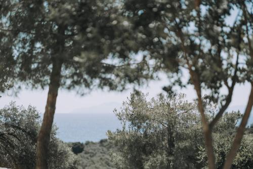 Φυσικό τοπίο κοντά σε αυτό το διαμέρισμα