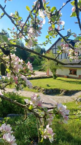 a tree with pink flowers in front of a house at Vāgnera parks in Tukums