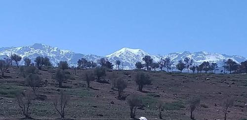 a field with snow capped mountains in the distance at Dar Imoughlad in Marrakech