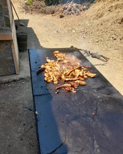 a pile of food on top of a grill at Camping Lisna in Vau i Dejës