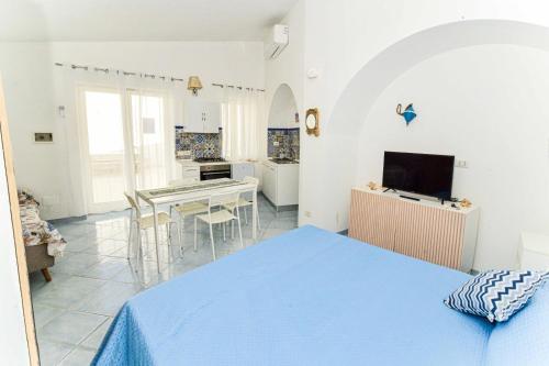 Μια τηλεόραση ή/και κέντρο ψυχαγωγίας στο SoleMarePonza Appartamento Cocò