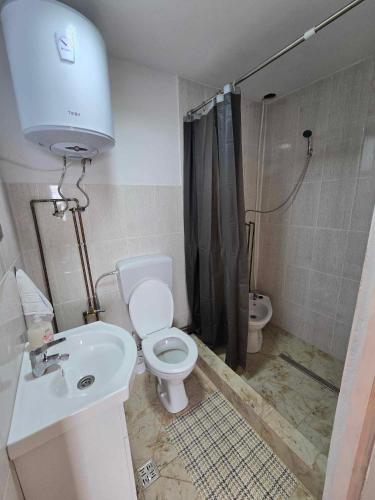 a bathroom with a toilet and a sink and a shower at Casa Ștefania in Pescari
