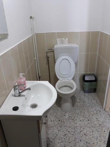 une salle de bain avec des toilettes blanches et un lavabo dans l'établissement Casa Ștefania, à Pescari
