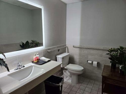 馬里斯維爾的住宿－圖拉利普品質酒店- 馬里斯維爾，一间带水槽、卫生间和镜子的浴室