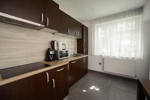 a kitchen with wooden cabinets and a window with a microwave at Apartament Family Rivulus 9 in Baia Mare