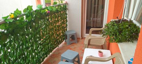 un patio avec des chaises et une clôture avec des plantes dans l'établissement Tea, à Sremska Mitrovica
