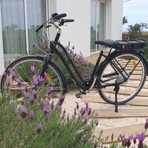 a bike parked in front of a house with purple flowers at Casa Calmar in Porto Covo