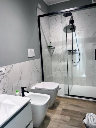 a bathroom with a shower and a toilet and a sink at BeB CASAMA in Ortona