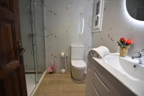 een badkamer met een toilet, een wastafel en een douche bij RNET - MTA Apartaments A3 in Roses