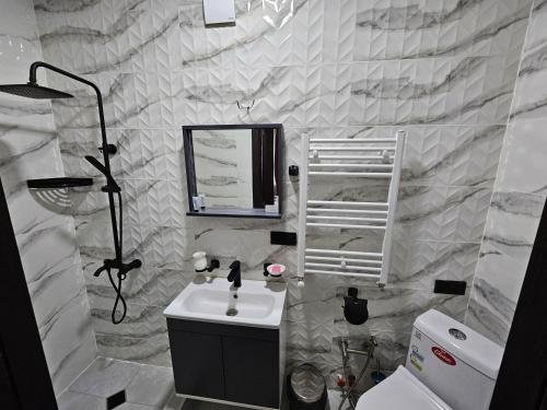 a bathroom with a sink and a mirror and a toilet at Urban hotel Tsalenjikha in Tsalenjikha