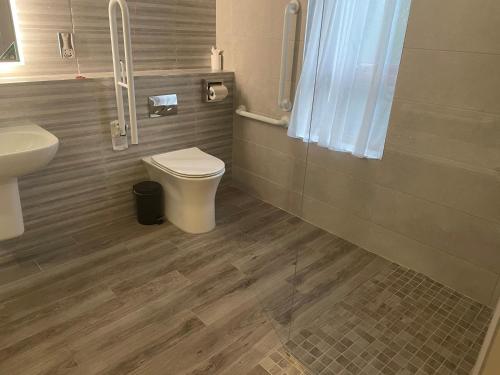 a bathroom with a toilet and a sink at Seagoe Hotel in Portadown