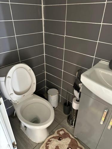 a bathroom with a toilet and a sink at Lovely Countryside Getaway in Roslin