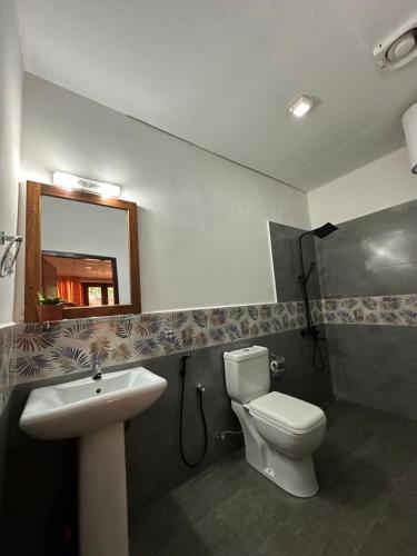 ein Badezimmer mit einem WC, einem Waschbecken und einem Spiegel in der Unterkunft Ambulugala Home Stay in Gampola
