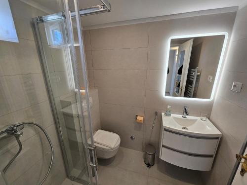 a bathroom with a shower and a toilet and a sink at Apartman Velopin in Mali Lošinj