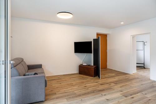 TV a/nebo společenská místnost v ubytování Richard´s Home Auer