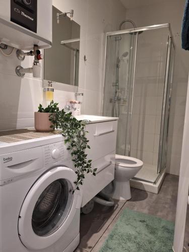 une salle de bain avec machine à laver et toilettes dans l'établissement Beautiful apartment with terrace Centre Nice, à Nice