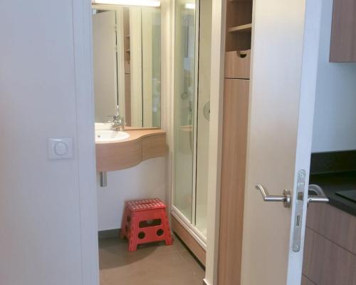 une petite salle de bain avec un lavabo et une douche dans l'établissement Mini Loft Daval, à Paris