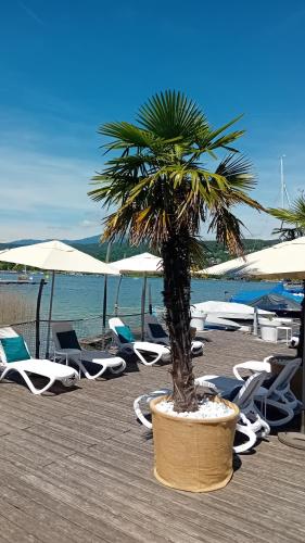 Gallery image of Tennis & Yacht Hotel Velden in Velden am Wörthersee