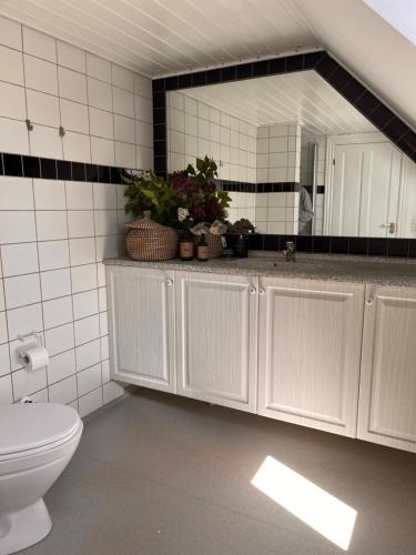 uma casa de banho com um lavatório, um WC e um espelho. em Jonas Hus - Munkgaard Bed & Breakfast em Store Heddinge