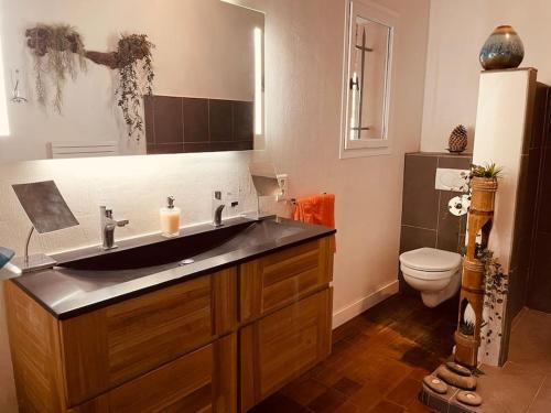 une salle de bain avec un lavabo et des toilettes dans l'établissement Villa avec piscine dans le Luberon, à Ménerbes