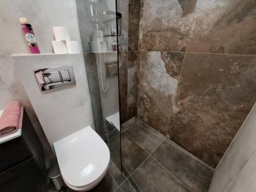 a bathroom with a toilet and a glass shower at DK Apartamenty Hotelove in Giżycko