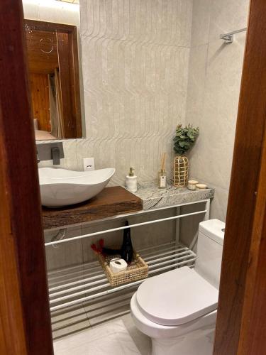 a bathroom with a white sink and a toilet at Cabana Natu - Visconde de Mauá in Visconde De Maua