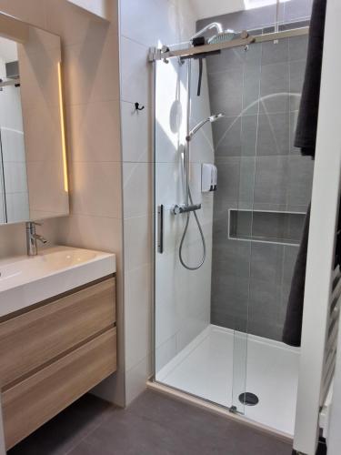 ein Bad mit einer Dusche und einer Glastür in der Unterkunft Appartement Havenzicht in Enkhuizen