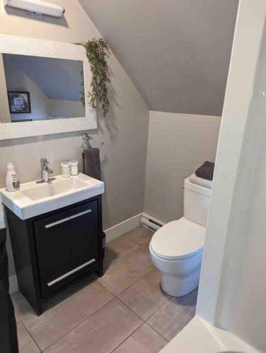 a bathroom with a sink and a toilet at Dominion Place Studio in Moncton