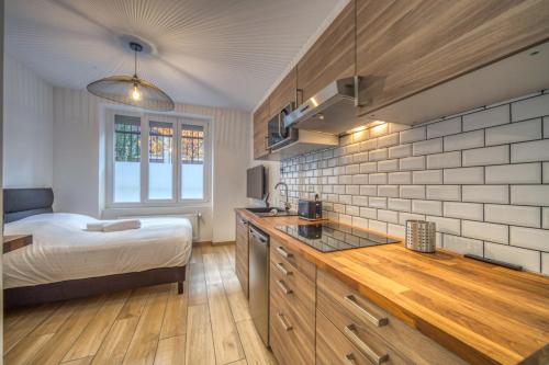 Cet appartement comprend une chambre avec un lit et une cuisine avec un comptoir. dans l'établissement Le Félix 2, studio entièrement équipé et aménagé pour accueillir confortablement 2 personnes, tout proche de la gare de Grenoble sur l'avenue Félix Viallet, à Grenoble
