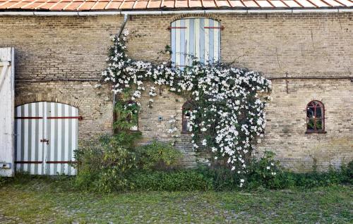 Κήπος έξω από το Cozy Home In Sønderborg With Kitchen