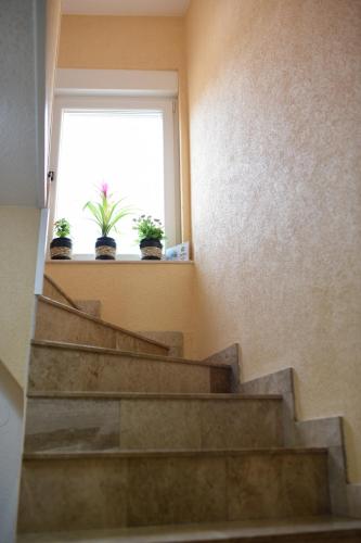a set of stairs with potted plants on a window at Central Stay Mostar in Mostar