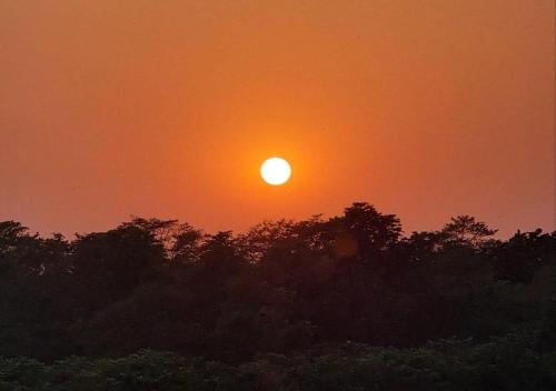 an orange sky with the sun rising behind trees at Wild Horizons Guest House in Sauraha