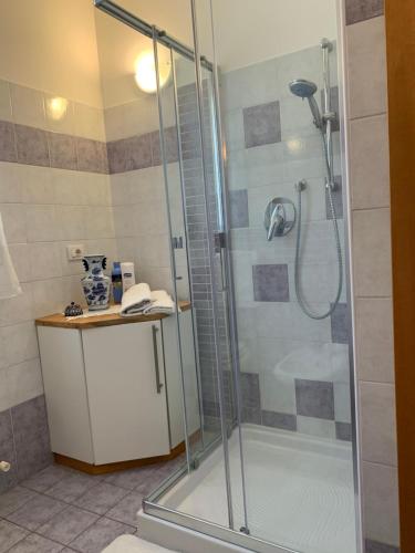 a shower with a glass door in a bathroom at Palazzo Venieri in Lugo
