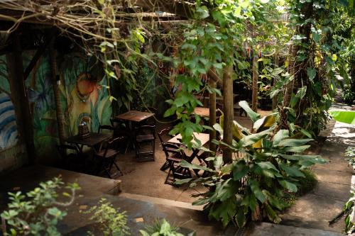 Fotografie z fotogalerie ubytování BANANAS HOSTEL v destinaci Itacaré