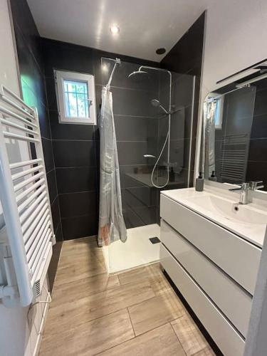 une salle de bain avec une douche, un lavabo et un miroir dans l'établissement L'Alyscamps Appartement Arles, à Arles