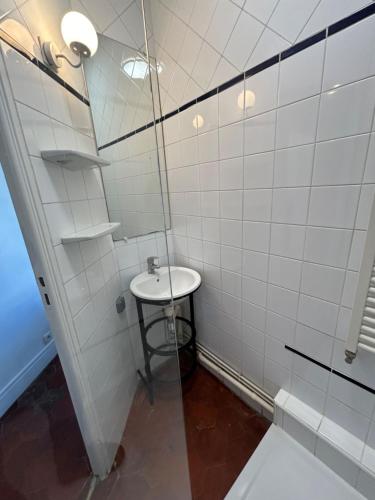 une salle de bain avec un lavabo et une douche en verre dans l'établissement L'appartement Jean Moulin, à Paris