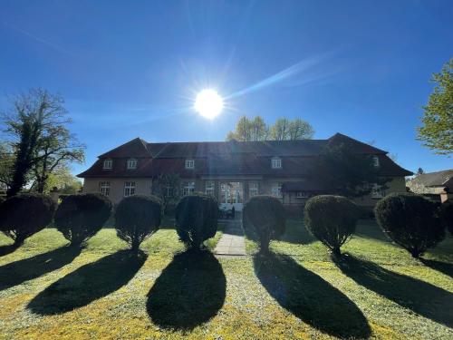 a group of bushes in front of a house at VITA Ferienresidenz in Neu Kaliß