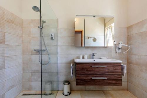 a bathroom with a shower and a sink and a mirror at Beautiful Villa Fior di Lavanda in Visnjan in Štuti