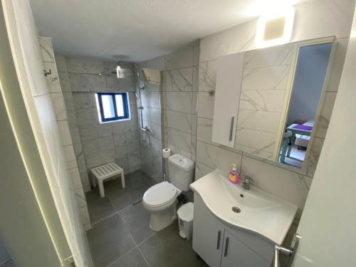 ein Badezimmer mit einem WC, einem Waschbecken und einem Spiegel in der Unterkunft Kaloxenia in Kardamaina