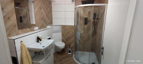 a bathroom with a shower and a toilet and a sink at A6 Apartment in Kirchardt