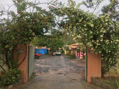an alley with a tree with white flowers at Pousada Villa Bella in Palmeiras