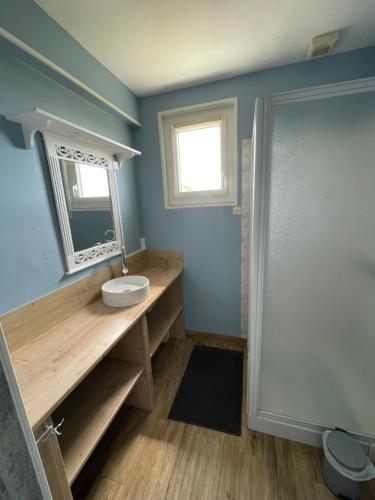 une salle de bain avec un lavabo et un miroir dans l'établissement Maison à 500m du port de Barfleur, à Gatteville-le-Phare
