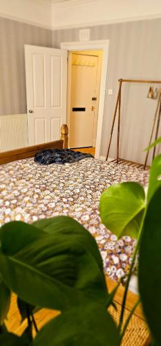 a room with a bed in a room with a door at Home away from home in Aberdeen