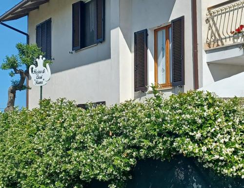 a building with a flowering bush in front of a window at Regina di Cuori Rooms in SantʼElpidio a Mare