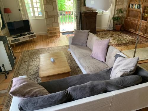 een woonkamer met een bank en een televisie bij Maison des Roses in Saint-Savinien