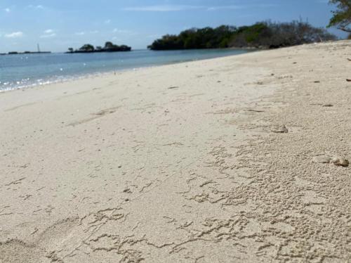 una playa de arena con huellas en la arena en Eco Hotel Las Palmeras en Isla Grande