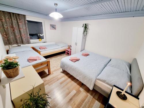 1 dormitorio pequeño con 2 camas y sofá en Hermina Family Apartment Tatras, en Ždiar