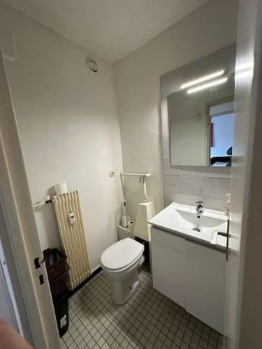 une salle de bain blanche avec des toilettes et un lavabo dans l'établissement Cozy Apartment in Central Strasbourg, à Strasbourg