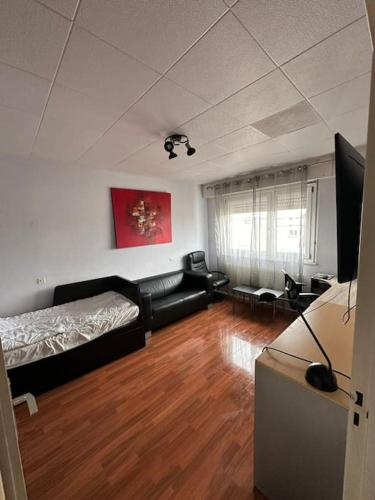 un salon avec un canapé et une télévision dans l'établissement Cozy Apartment in Central Strasbourg, à Strasbourg