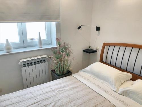 1 dormitorio con cama, ventana y planta en One bedroom apartement at Novigrad 400 m away from the beach with enclosed garden and wifi, en Novigrad Istria